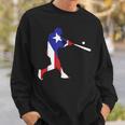 Puerto Rico Cute Famous Island Game Sweatshirt Gifts for Him