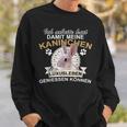 Rabbit Pet Rodent Slogan Sweatshirt Geschenke für Ihn