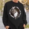 Sweet Kitten Torn Cloth Unique & Cool Cat Lover Sweatshirt Gifts for Him