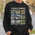 Types Of Horses Lover Cute Riding Girl Boyn Horse Sweatshirt Gifts for Him
