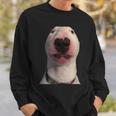 Walter Dog Meme Sweatshirt Geschenke für Ihn