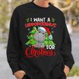 I Want A Hippopotamus For Christmas Hippo Santa Xmas Pajama Sweatshirt Gifts for Him