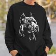 White Portrait American Pitbull Terrier Sweatshirt Gifts for Him