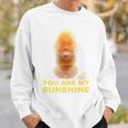 James Meme You Are My Sunshine Joke For And Women Sweatshirt Gifts for Him
