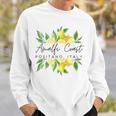 Positano Amalfi Coast Italy Lemon Bliss Sweatshirt Gifts for Him