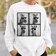 Zebra With Sunglasses Zoo Lover Safari Animal Photo Sweatshirt Gifts for Him