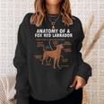 Anatomy Of A Fox Red Labrador Retriever Foxred Lab Sweatshirt Gifts for Her