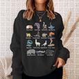 Animals Of The World Rare Exotic Animals Memes Sweatshirt Gifts for Her