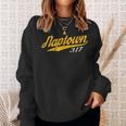 Naptown 317 Naptown Area Code Vintage Pride City Sweatshirt Gifts for Her