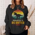Promoted To Big Brother 2024 Dinosaur Family Matching T-Rex Sweatshirt Gifts for Her