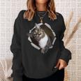 Sweet Kitten Torn Cloth Unique & Cool Cat Lover Sweatshirt Gifts for Her