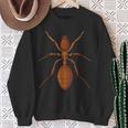 Ant Ant Costume Sweatshirt Gifts for Old Women