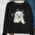 Cute Maltese Torn Cloth Maltese Lover Dog Owner Puppy Sweatshirt Gifts for Old Women