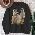 Meerkat On Safari In Africa Sweatshirt Geschenke für alte Frauen