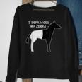 Programmer Developer Code Nerd Geek Zebra Computer Scientist Sweatshirt Geschenke für alte Frauen