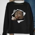 Stunning Tabby Cat Torn Cloth Cat Lovers Kitten Sweatshirt Gifts for Old Women