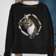 Sweet Kitten Torn Cloth Unique & Cool Cat Lover Sweatshirt Gifts for Old Women