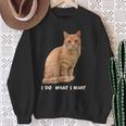 I Do What I Want Orange Tabby Cat Lovers Sweatshirt Gifts for Old Women