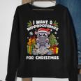 I Want A Hippopotamus For Christmas Hippo Christmas Sweatshirt Gifts for Old Women