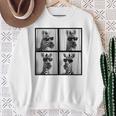 Zebra With Sunglasses Zoo Lover Safari Animal Photo Sweatshirt Gifts for Old Women