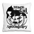 Black Cat Apothecary Cat Witch Pumpkin Halloween Costume V2 Pillow