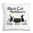 Black Cat Apothecary Halloween Gift Potions Spells Elixers Pillow