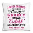 Grancy Grandma Gift I Never Dreamed I’D Be This Crazy Grancy Pillow
