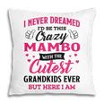 Mambo Grandma Gift I Never Dreamed I’D Be This Crazy Mambo Pillow