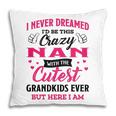 Nan Grandma Gift I Never Dreamed I’D Be This Crazy Nan Pillow
