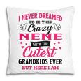 Nene Grandma Gift I Never Dreamed I’D Be This Crazy Nene Pillow