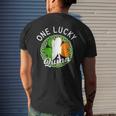 One Lucky Quinn Irish Family Name Men's T-shirt Back Print Gifts for Him