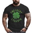 One Lucky Grandpa Matching St Patrick's Day Big and Tall Men T-shirt
