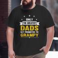Family 365 The Greatest Dads Get Promoted To Grampy Grandpa Big and Tall Men T-shirt