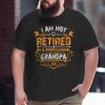 I'm Not Retired I'm A Professional GrandpaBig and Tall Men T-shirt