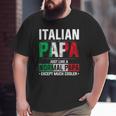 Italian Papa Happy Fathers Day Pride Italian Flag Proud Papa Big and Tall Men T-shirt