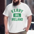 Kerry Ireland Irl Gym Style Distressed Green Print Big and Tall Men T-shirt