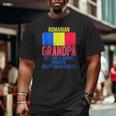 Mens Vintage Romanian Grandpa Romania Flag For Father's Day Big and Tall Men T-shirt