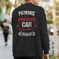 Car Painter Automative Detailing Auto Spray Vehicle Parts Sweatshirt Back Print