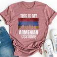 This Is My Armenian Costume For Vintage Armenian Bella Canvas T-shirt Heather Mauve