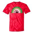 Lgbtq Aromantic Pride Flag Lgbtqia Rainbow Aromantic Tie-Dye T-shirts RedTie-Dye