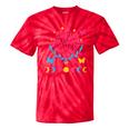 Pansexual Subtle Pan Pride Lgbtq Subtle Moon Phase Crystals Tie-Dye T-shirts RedTie-Dye