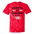 Promoted To Grandma 2025 Pregnancy Announcement Tie-Dye T-shirts RedTie-Dye