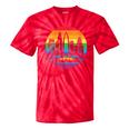 Retro Lgbt Rainbow Charlotte Skyline Lesbian Gay Pride Tie-Dye T-shirts RedTie-Dye