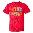 Stay Groovy Hippie Peace Sign Retro 60S 70S Women Tie-Dye T-shirts RedTie-Dye