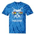 Lgbtq Pride Flag Cat Vintage Pride Month Tie-Dye T-shirts Blue Tie-Dye