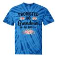 Promoted To Grandma 2025 Pregnancy Announcement Tie-Dye T-shirts Blue Tie-Dye