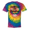 Promoted To Grandma 2025 Pregnancy Announcement Tie-Dye T-shirts Rainbox Tie-Dye