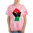 Pan African Unia Flag Fist Black History Black Liberation Tie-Dye T-shirts Coral Tie-Dye