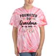 Promoted To Grandma 2025 Pregnancy Announcement Tie-Dye T-shirts Coral Tie-Dye