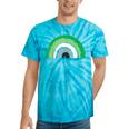 Lgbtq Aromantic Pride Flag Lgbtqia Rainbow Aromantic Tie-Dye T-shirts Turquoise Tie-Dye